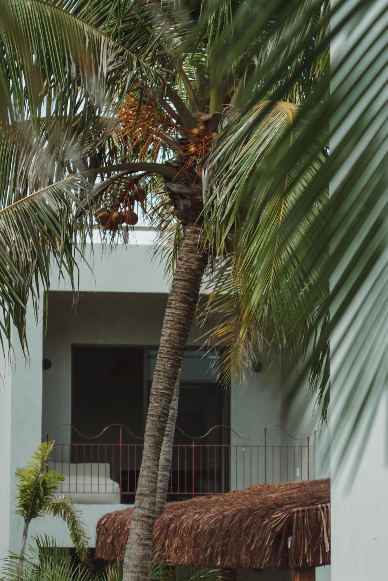 Luau Hotel Guajiru  Luaran gambar